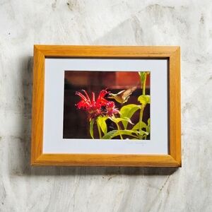 Framed Floral Art Print
